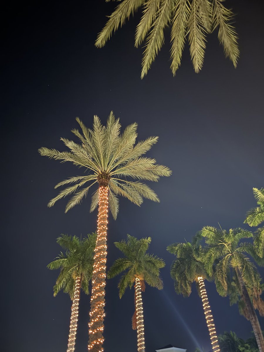 Wishing you all a happy, healthy, prosperous new year!