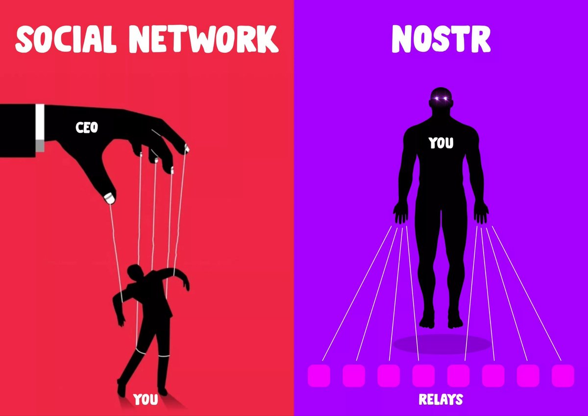 benwehrman's tweet photo. Ready to get started on #Nostr?

1) Watch at least the 1st video of this playlist for the crash-course 👇
https://t.co/jRjTBjub0c

2) Create an account on @primal_app - only takes 15mins and includes built-in wallet ⚡️

3) Make an #introductions post introducing yourself! https://t.co/NurqXgQpuF