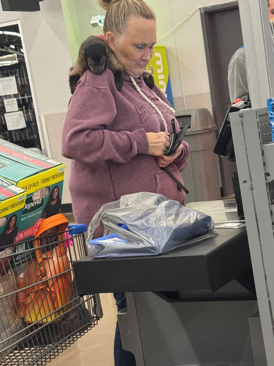 hhhannahf's tweet photo. Never thought I’d be saying this, but PLEASE don’t bring your monkey to the grocery store https://t.co/XWeIbQMiyy