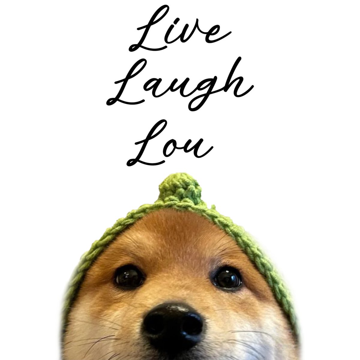 Loucoinonsol's tweet photo. @justinwrites Live, Laugh, Lou Justin 💜 https://t.co/Z42VfTlhu2