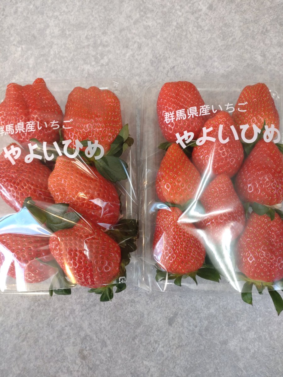 明けましておめでとうございます🎍
今年も宜しくお願いいたします🙇

樋口園芸より
ささやかではございますが
#いちご のお年玉を
#プレゼント 致します🍓

2パック入りを４名様へ
(大きさいろいろ)

⑴アカウントのフォロー
⑵ポストのリポスト＆いいね

1月3日（金)正午まで
当選者様にはDM💌します