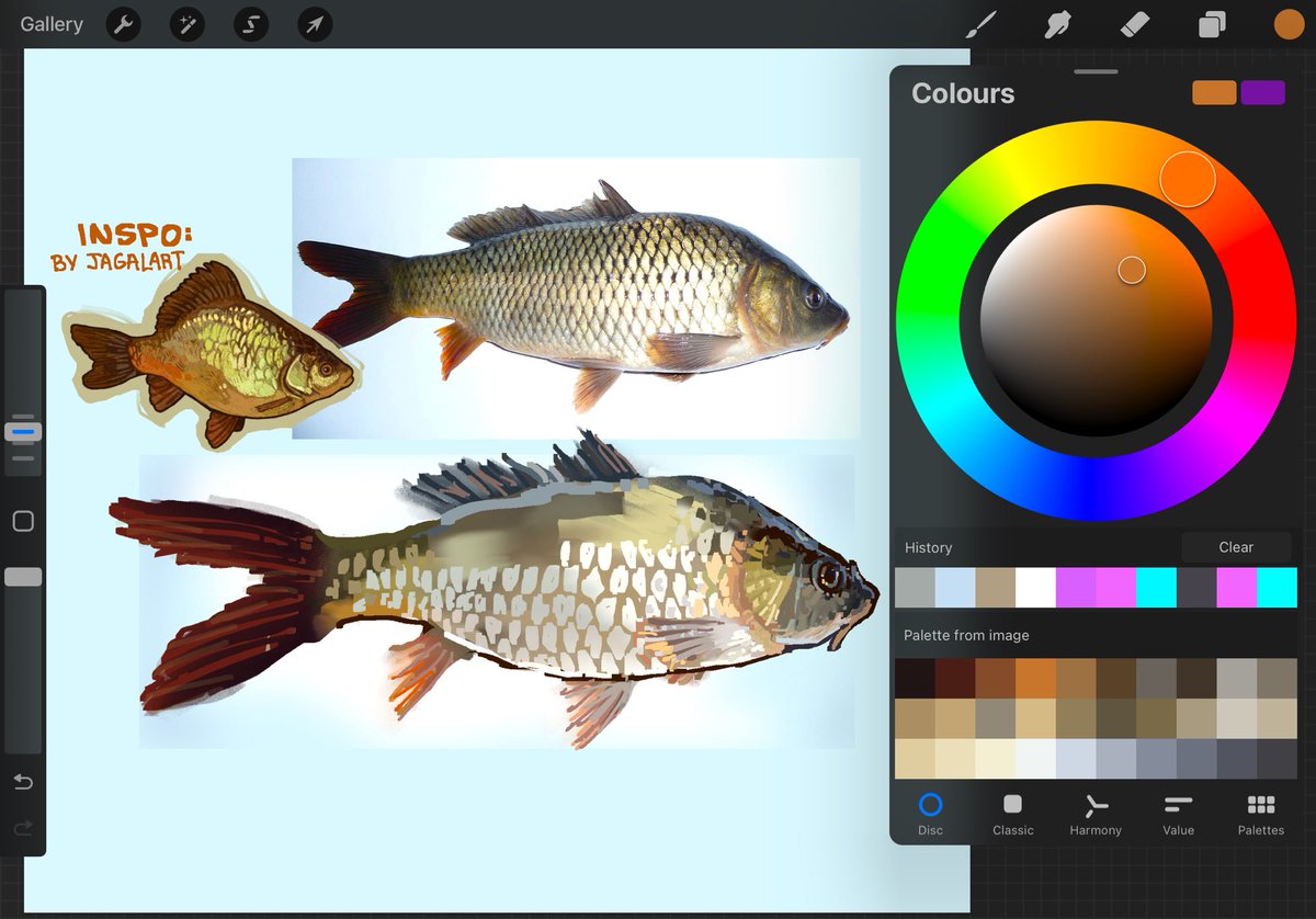 Little carp for a warmup WIP before bed :]
#fish #digitalart