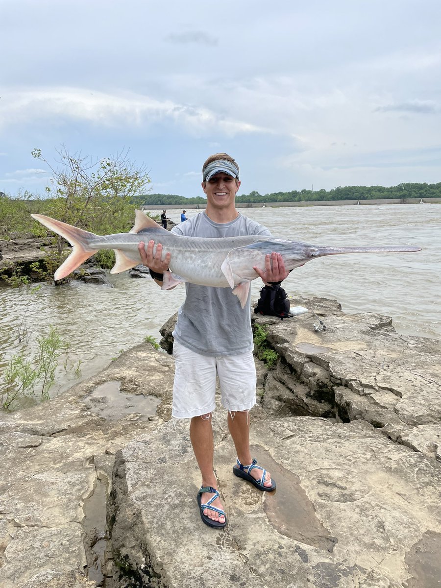 Another year, another yearly wrap-up of Joe things! In 2024, I caught 764 fish, 37 of which were new species and 4 new subspecies. I ran 272 miles and hiked 177. An amazing year with substantial time spent outdoors and by the water. Caught twice as many fish this year than normal