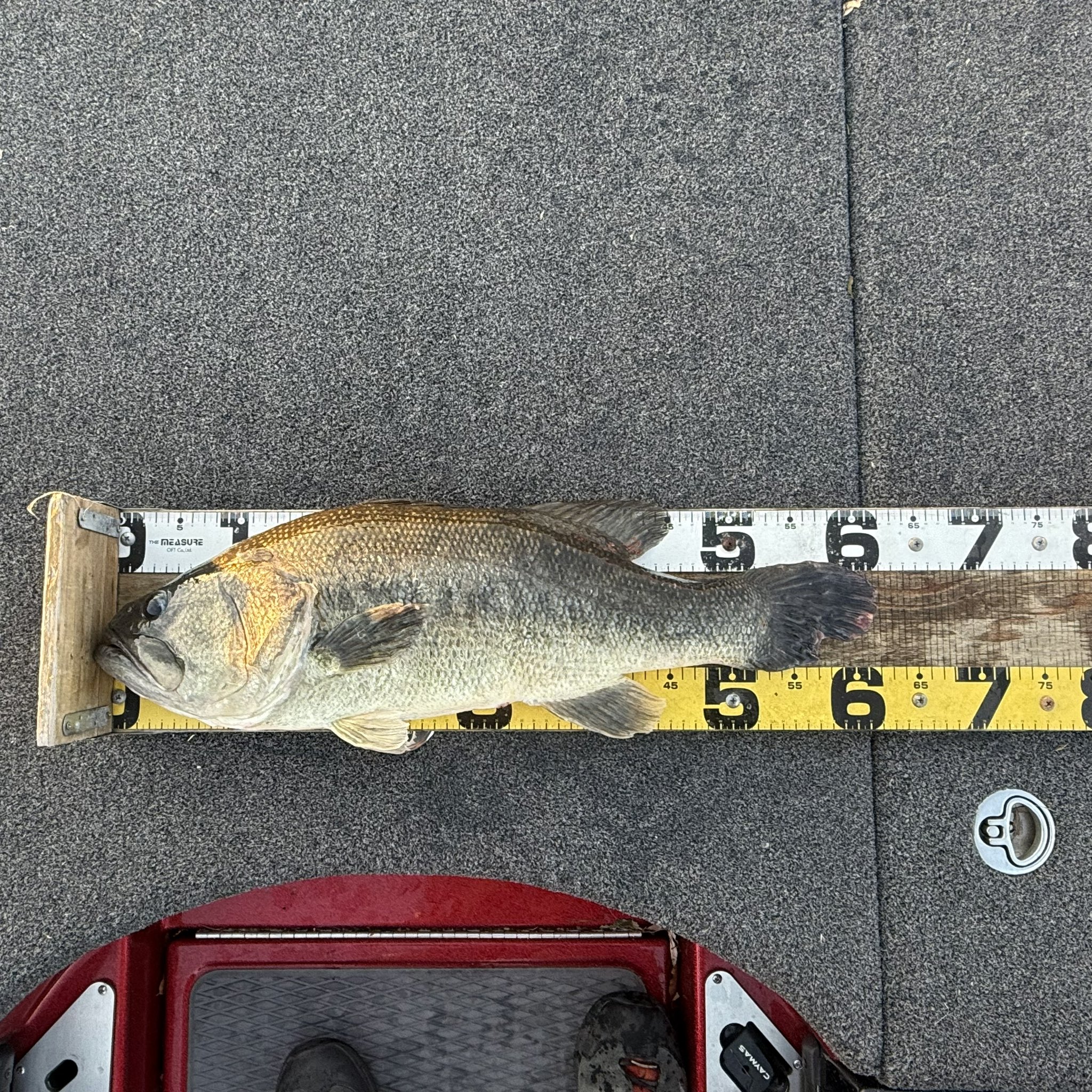 Revonik (@revonik_fishing) / X