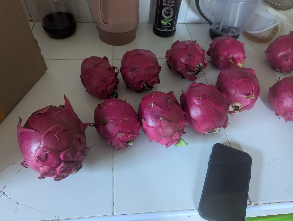 Final batch available in Nairobi 
250sh for the large ones and 200sh for the small ones 
10% discount for orders above 8 pieces 
This were freshly picked by myself 
Free delivery in Imara Daima