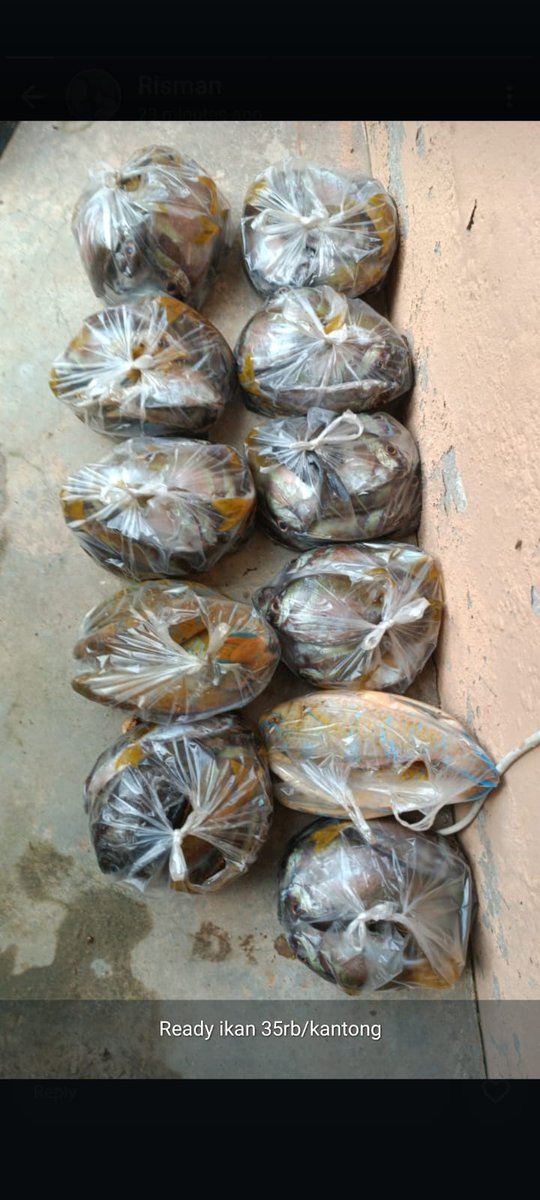 74kid46's tweet photo. Jumat (04/10/2024), M. Arka'is Sujud, Luhkan Kab. Bangka Barat, di KUB Mentigi Ds Teluk Limau, melaporkan tangkapan Aneka Ikan Karang, dengan alat tangkap Bubu  sebanyak 55 kg, harga jual 35.000/kg #luhlapor #brppupp #KKP https://t.co/8BY7nhWf07