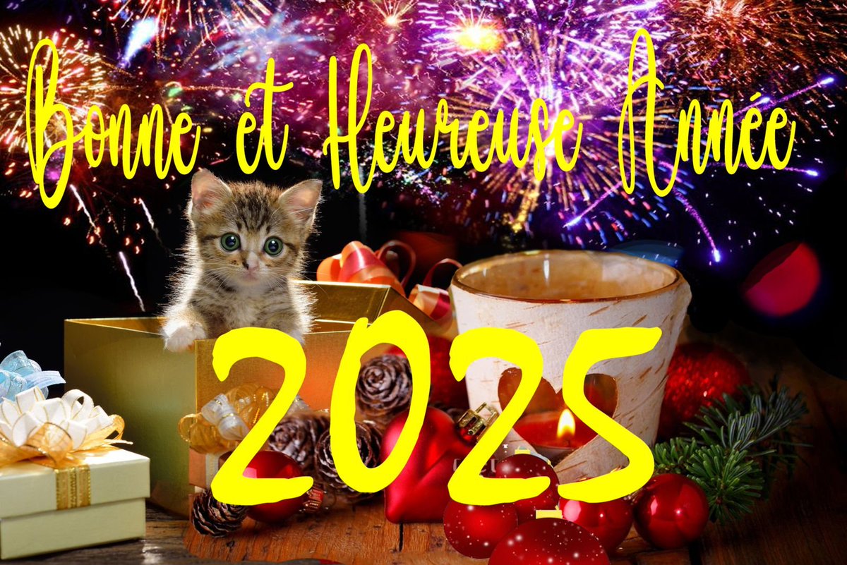 MPtipot's tweet image. Bonne et heureuse année à toutes celles et tous ceux qui combattent, comme moi, la gauche (surtout LFIste), les wokes, les clandestins,  les cassos, les profiteurs de nos impôts, les anti France, etc etc...