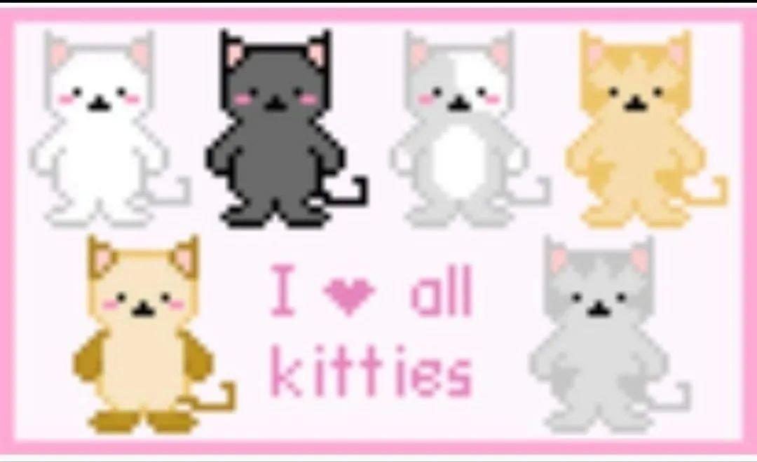 Punch Cat (@punchingcat) on Twitter photo 