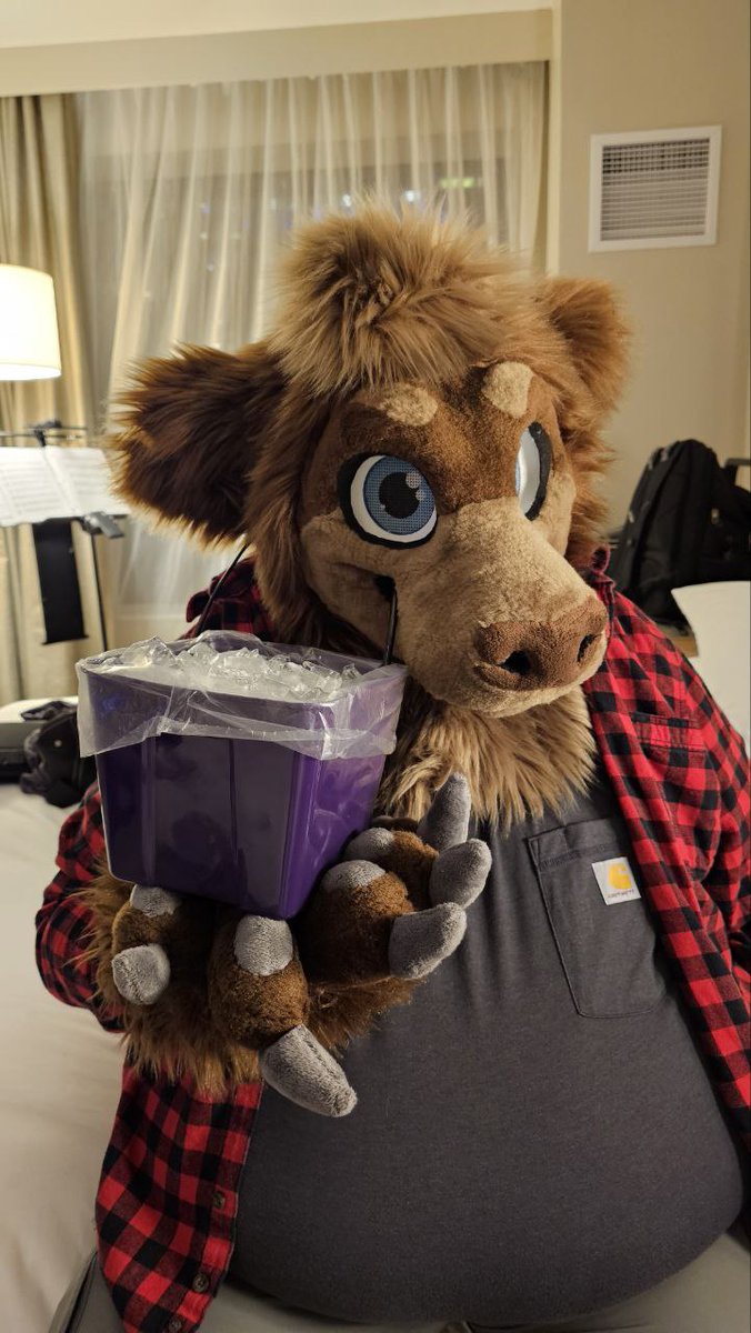 Torx Bear ➡️ Furlandia ➡️ AC 🏳️🌈🇺🇸 tweet media
