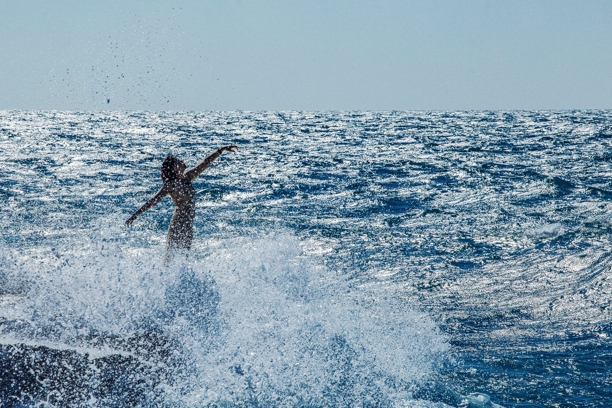 Gm 💙

With every wave, a new verse is written of freedom, 
in the waves that grow In the Dance of Blue 🌊

Last 2 👇