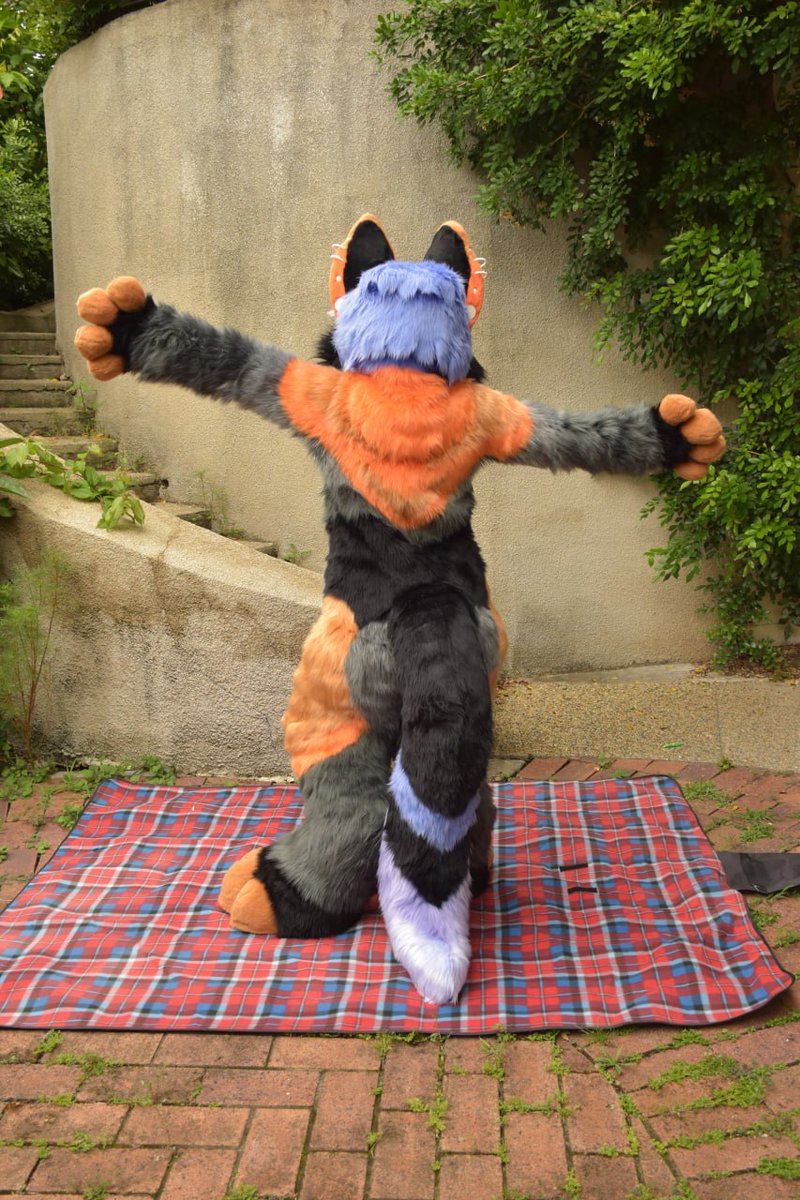 🐺✨Skyehighstudios✨🐺 tweet media