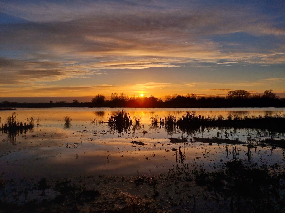 Als de voorspellingen kloppen komt vandaag de zon er bij. Fijne donderdag😀 #natuur #landschap #winter #Rhenen #ElstUt #Elsterbuitenwaard #zonsondergang #mooieluchten