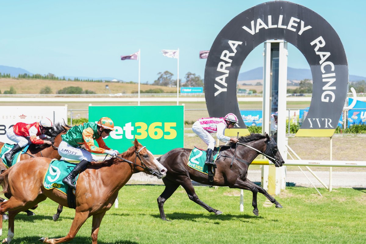 Kyneton-based Matthew Fsadni trains the third winner of his career, and second since December 2019, with 6yo gelding Barnage in Race 5 at <a href="/YVRacing/">Yarra Valley Racing</a> 🏇🎉
<a href="/JohnKeatingAU/">John Keating</a> 

#CountryRacing #AsRealAsItGets
