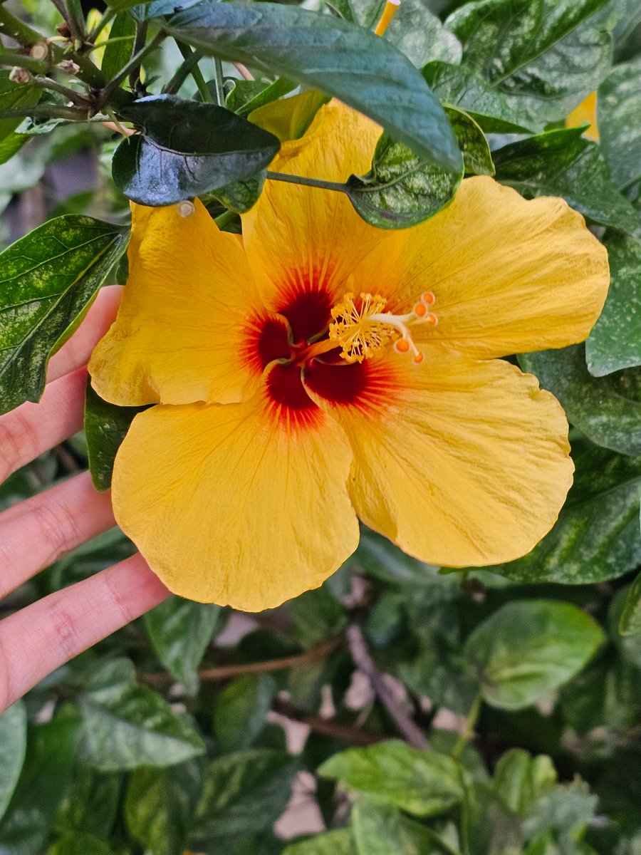 remember? touch grass!