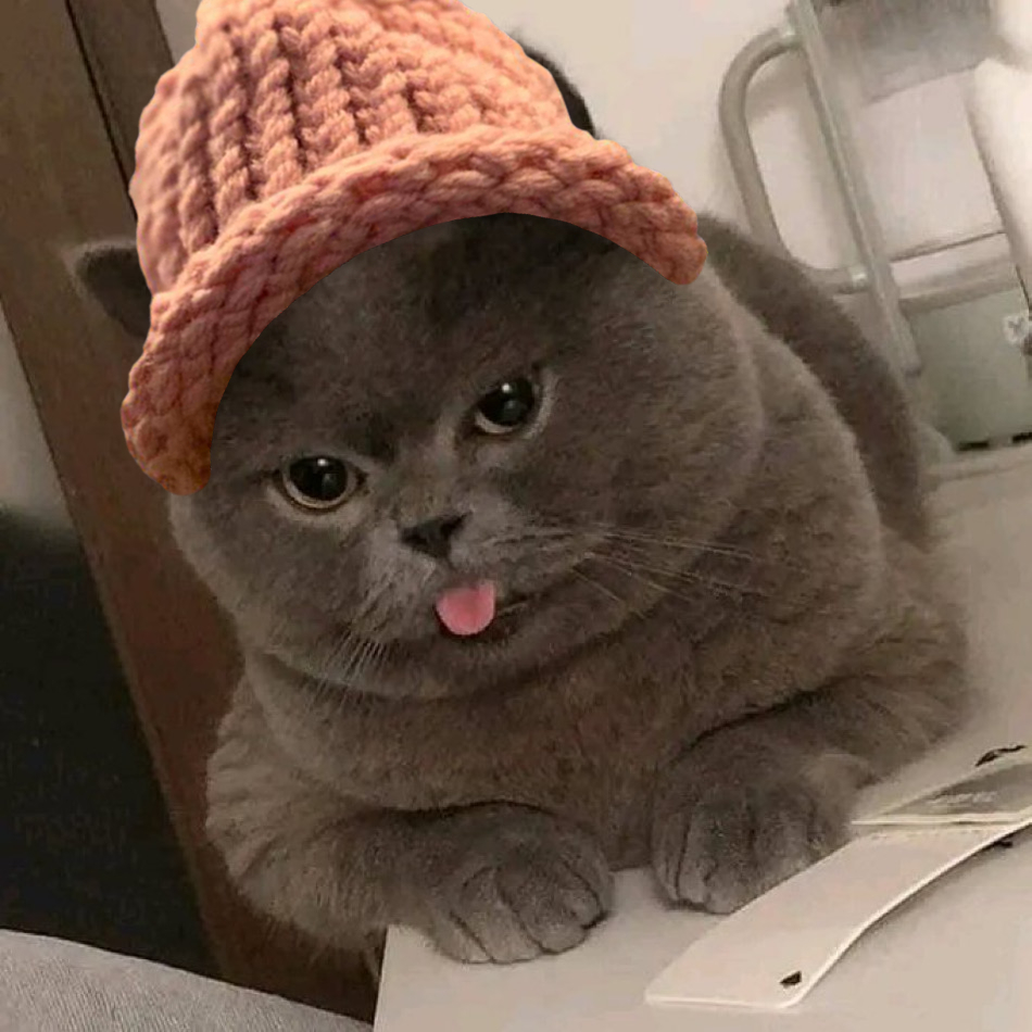 CWIFcats's tweet image. Day 207 of hatting cat memes in 2025. 馃惐馃Б $CWIF #catwifhat @catwifhatsolana
