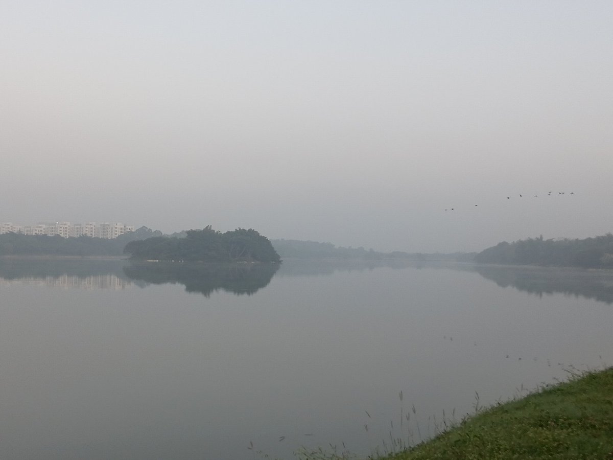 ProgramErgoSum's tweet image. Jakkur lake