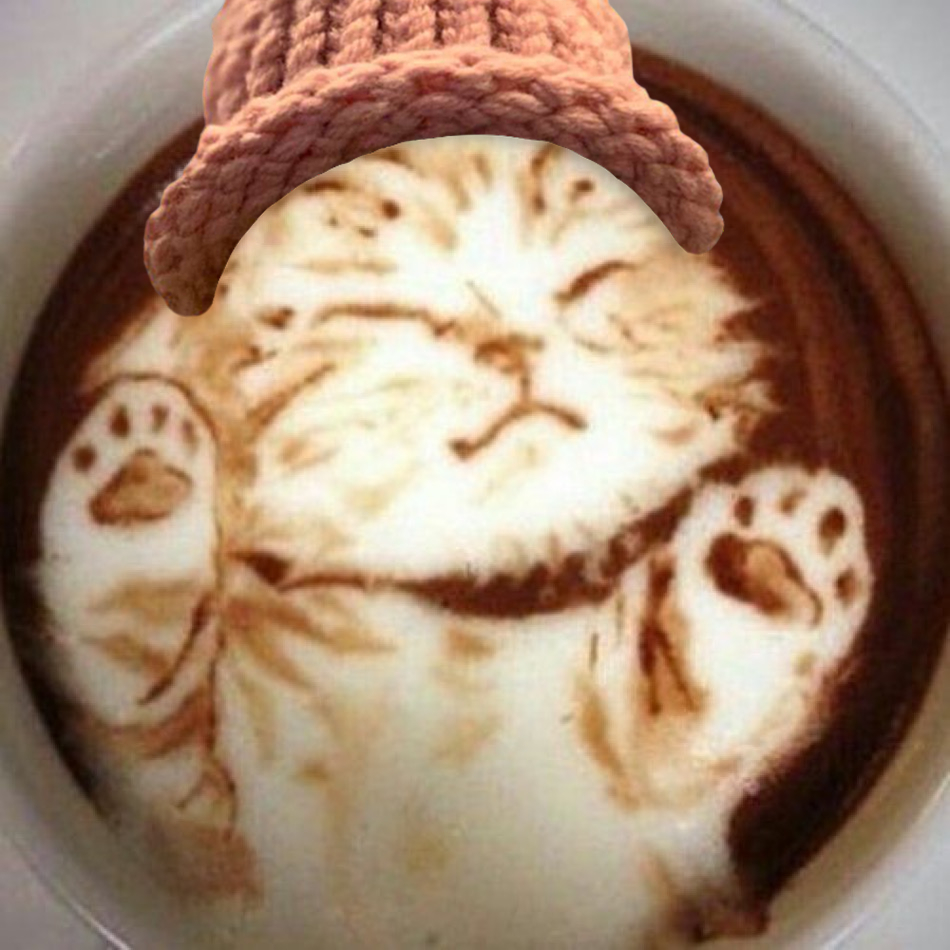 CWIFcats's tweet image. Day 208 of hatting cat memes in 2025. 馃惐馃Б $CWIF #catwifhat @catwifhatsolana