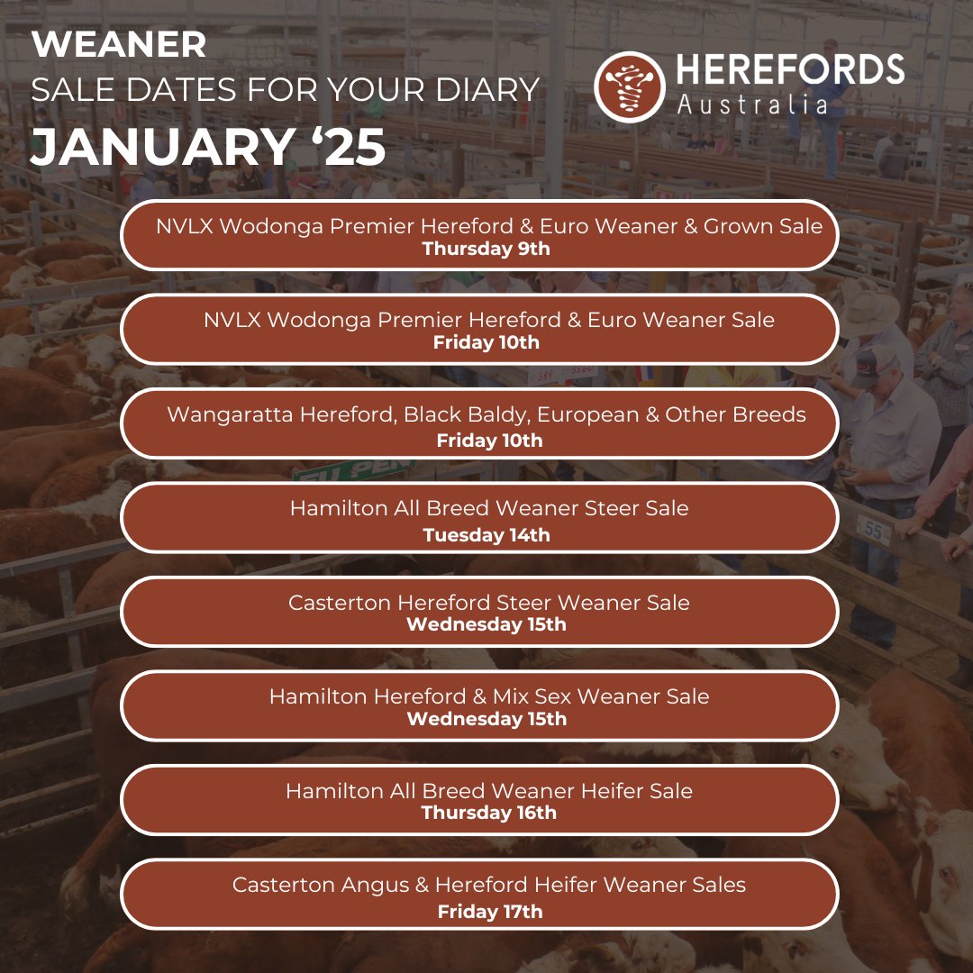JANUARY WEANER SALE DATES 📆 For full details visit: herefordsaustralia.com.au/marketing/show…