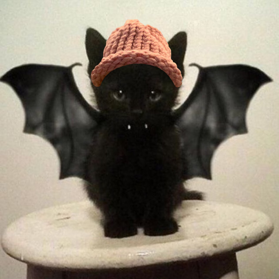 Day 228 of hatting cat memes in 2025. 🐱🧢 $CWIF #catwifhat <a href="/catwifhatsolana/">Catwifhat $CWIF</a>