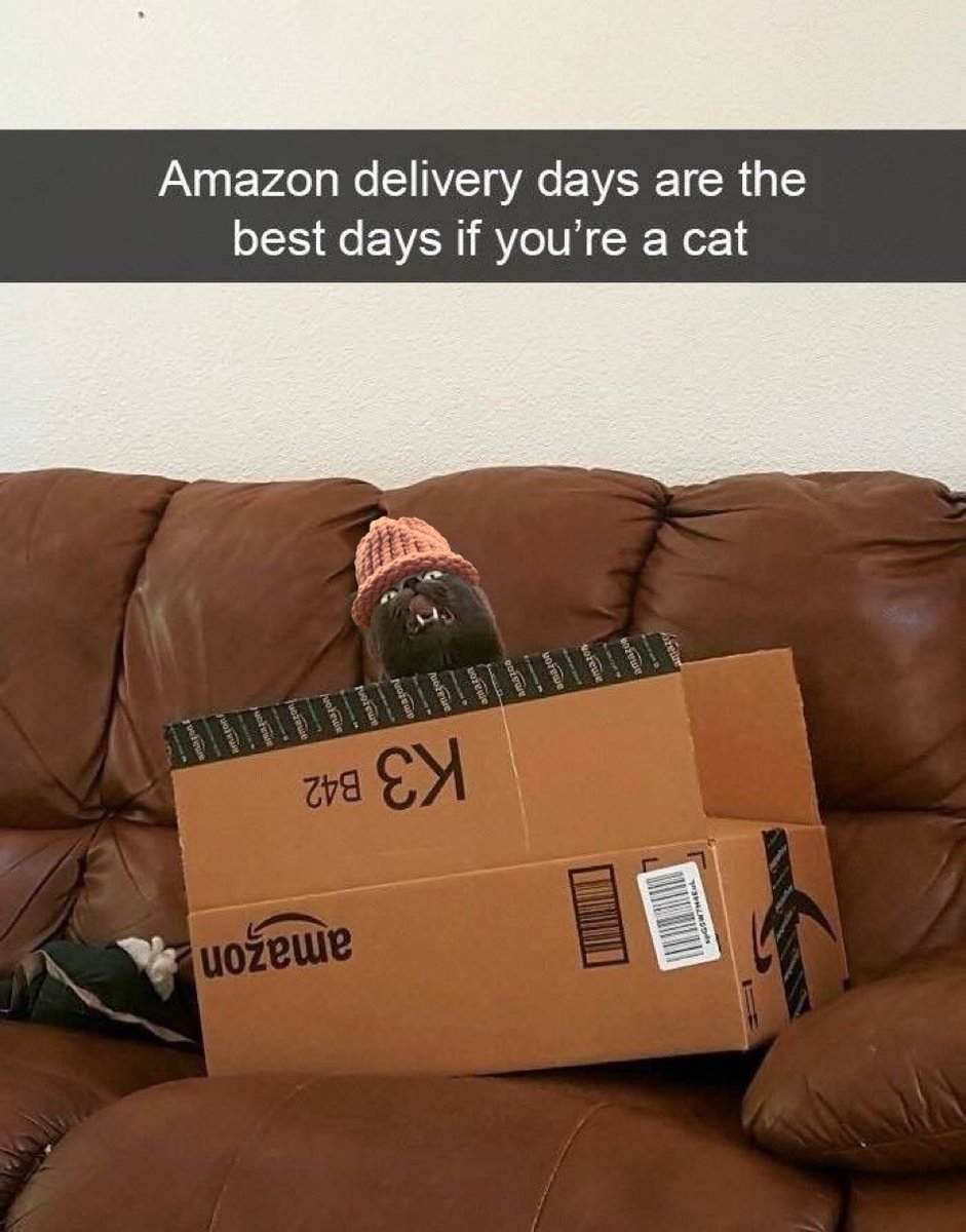 Day 239 of hatting cat memes in 2025. 🐱🧢 $CWIF #catwifhat <a href="/catwifhatsolana/">Catwifhat $CWIF</a>