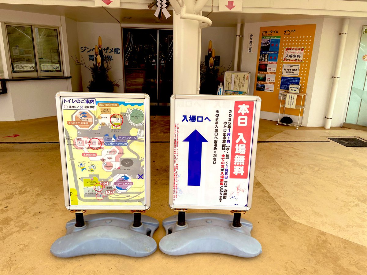 kkggat's tweet photo. 七尾市能登島曲町ののとじま水族館にイサキがいることを確認！
これが本物の曲伊咲！🙄

のとじま水族館1/5まで入場料無料なのありがたい㊗️

#君ソム https://t.co/PrFGTveWBf