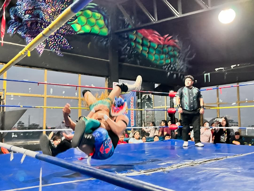 LaTijeraLucha's tweet photo. La #CopaTheCrash disputa en el #StarGym en la #Shotomani4 es para el joven #GoldenJr al dar cuenta en la recta final de #FelinoBoy, obteniendo un gran trofeo y un pase directo para estar en el 2025 en Tijuana con #TheCras, en la batalla también participaron ... https://t.co/bk9ge85Bl8
