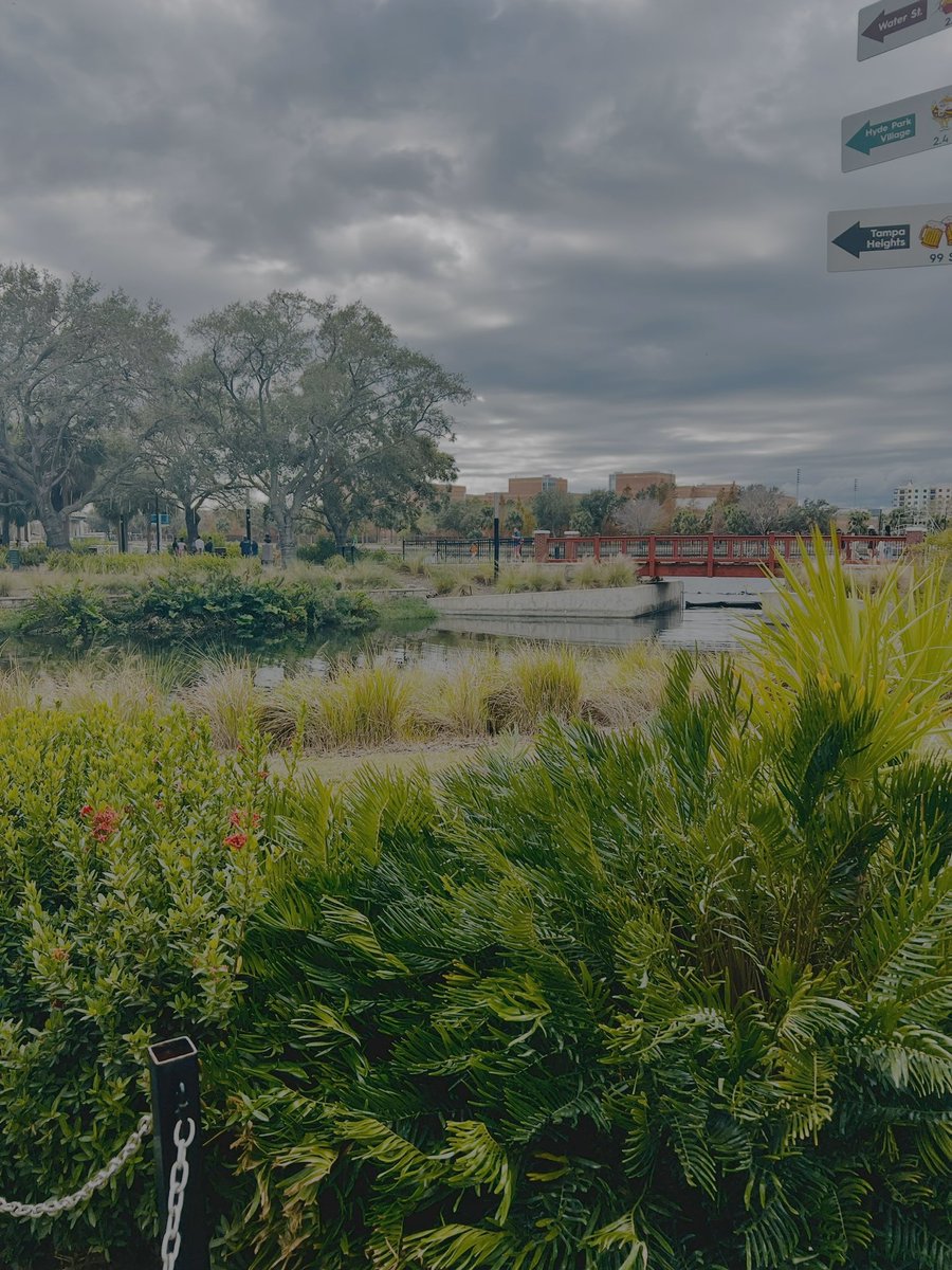 neelyuvrajprod1's tweet photo. Delicious food, stunning views, and unforgettable vibes at Ulele in Tampa! πΈβ¨ A feast for both the eyes and the taste buds. #TampaEats #UleleMoments #FoodieAdventures #photo #photography #photographer #tampa #tampabay #like #ulele #florida #yourshotphotographer @Uleletampa https://t.co/M7fXypg4ag