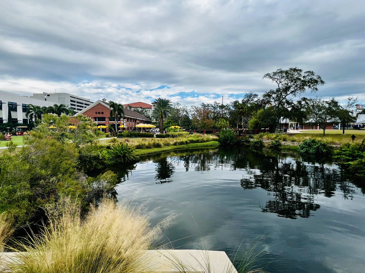 neelyuvrajprod1's tweet photo. Delicious food, stunning views, and unforgettable vibes at Ulele in Tampa! πΈβ¨ A feast for both the eyes and the taste buds. #TampaEats #UleleMoments #FoodieAdventures #photo #photography #photographer #tampa #tampabay #like #ulele #florida #yourshotphotographer @Uleletampa https://t.co/M7fXypg4ag