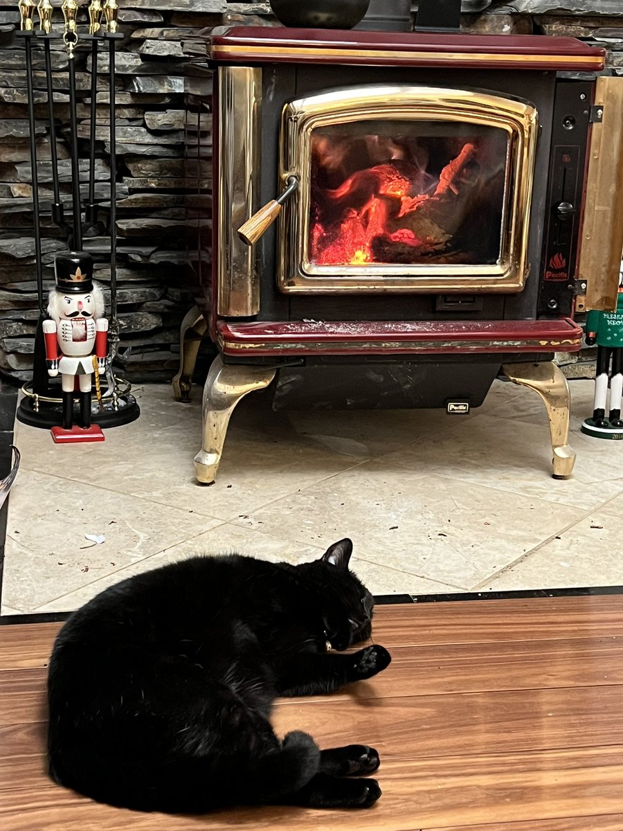 Careers In Focus tweet media