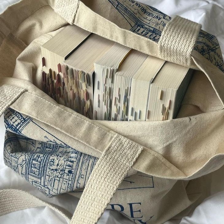 alliecatsgirl's tweet photo. ᥫ᭡𓂃⌗ livros lidos em 2025 ⋆ ˖ ֺ 

a thread. https://t.co/kWLXX1tLa0