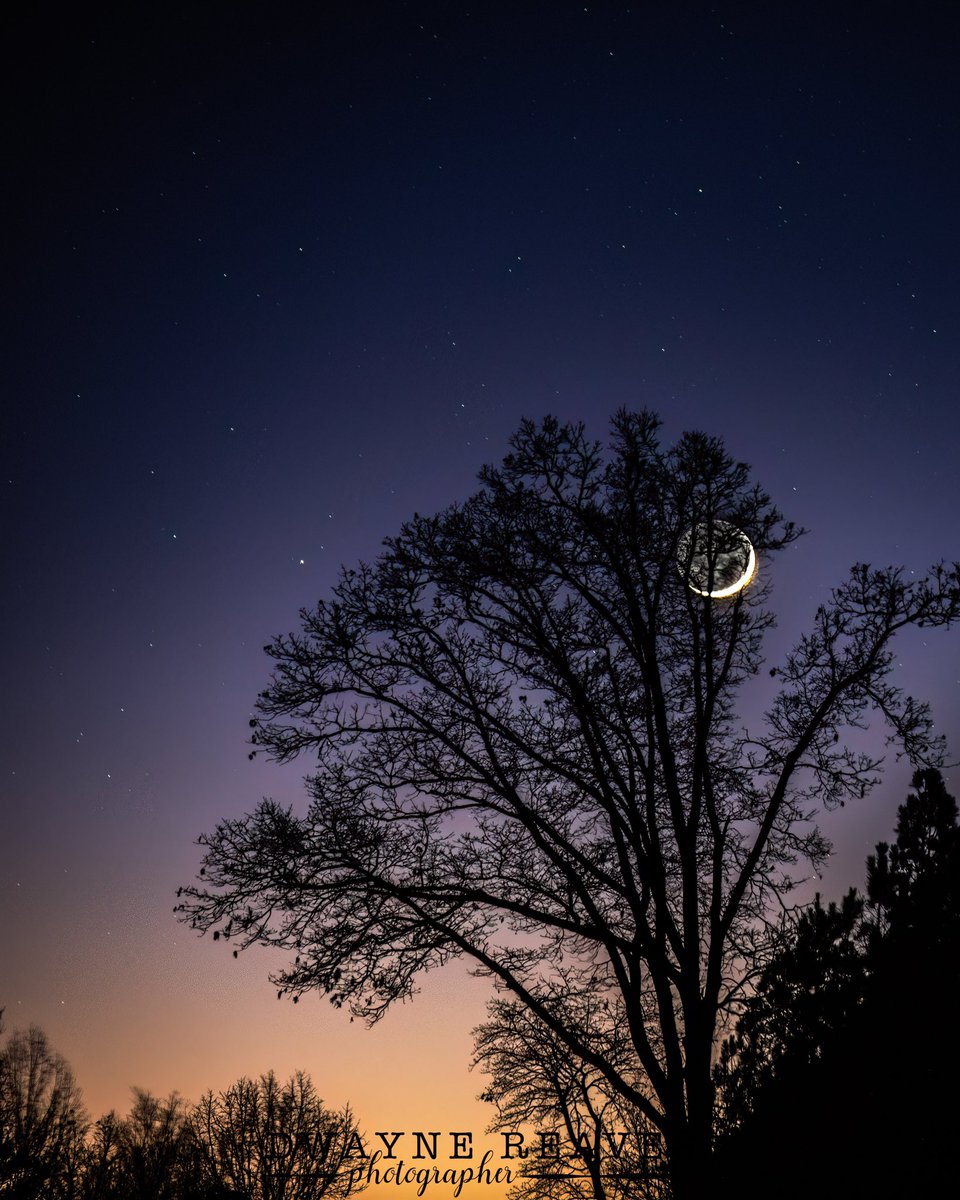 First photo of the year for me! I decided to BE a photographer and behold something beautiful, yet simple! Have a great evening!