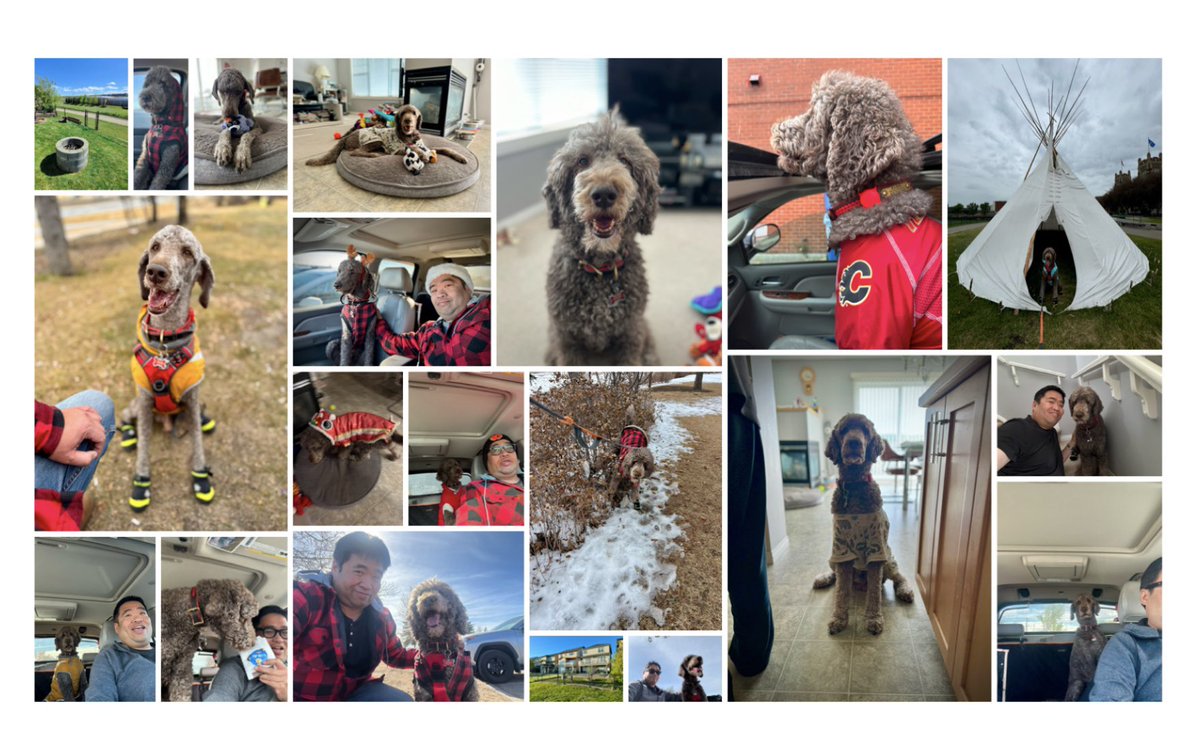 Ryan_the_Spoo's tweet image. We had our phone pick out our best of 2024 photos and this is what it picked. #spoo #spoophotos #BestOf2024
