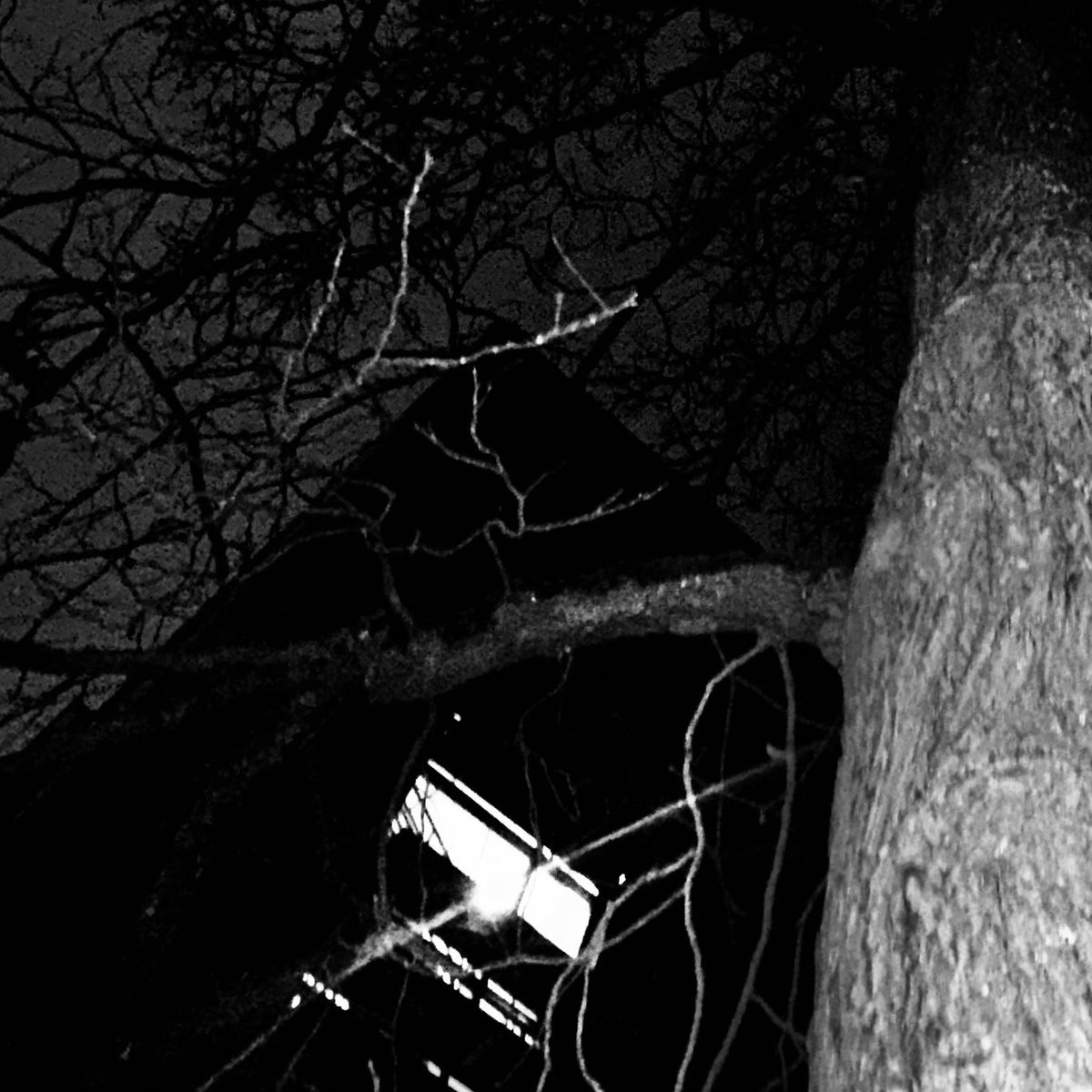 defsharp tweet media