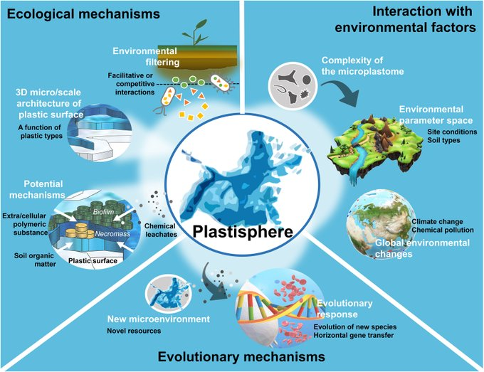 UNBiodiversity's tweet photo. What is the soil plastisphere &amp; how does it threaten soil ecosystems and beyond? 

Read this super interesting Commentary from @mrillig &amp; colleagues https://t.co/NtYivL2kQX

via @OneEarth_CP https://t.co/2AvDyBBOjb