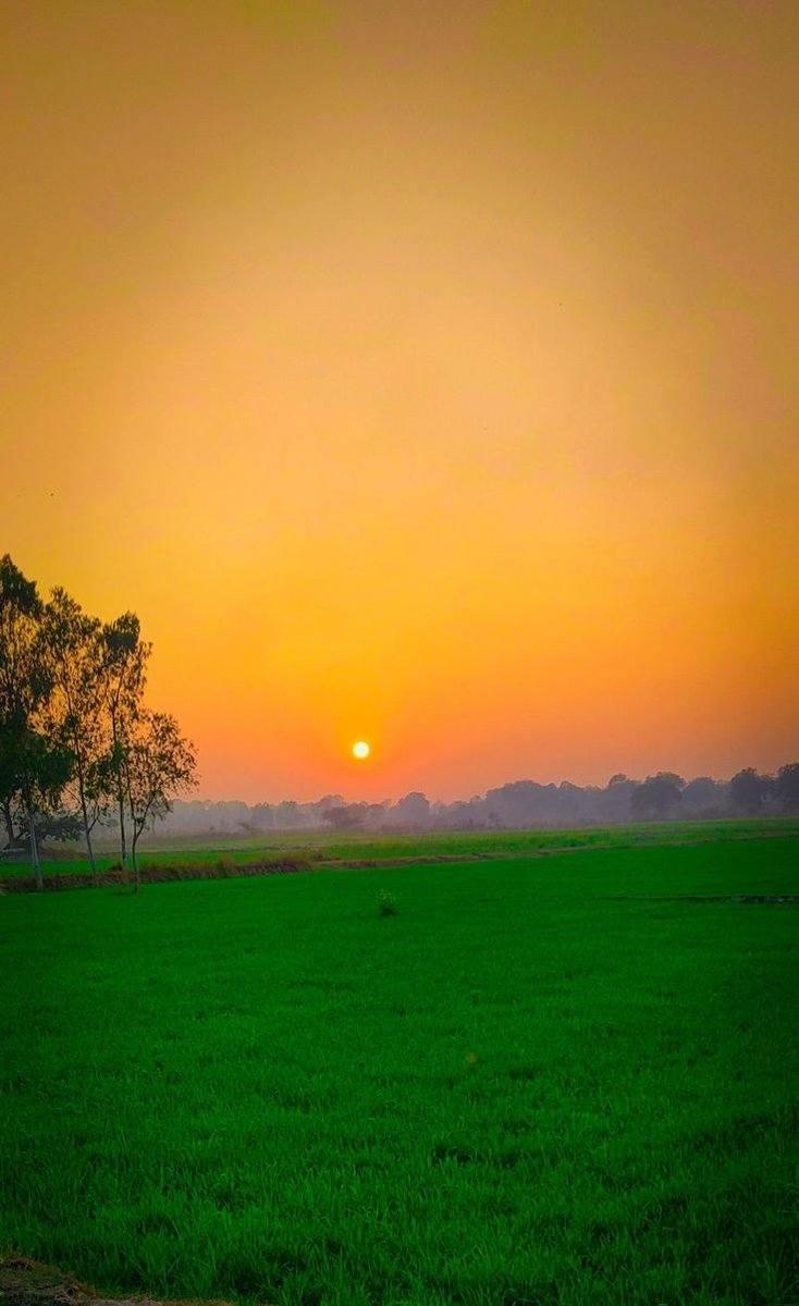 सुबह एक नई उम्मीद है
जो हासिल करना चाहते हो उसे पूरा करने का..

Good morning everyone 💐