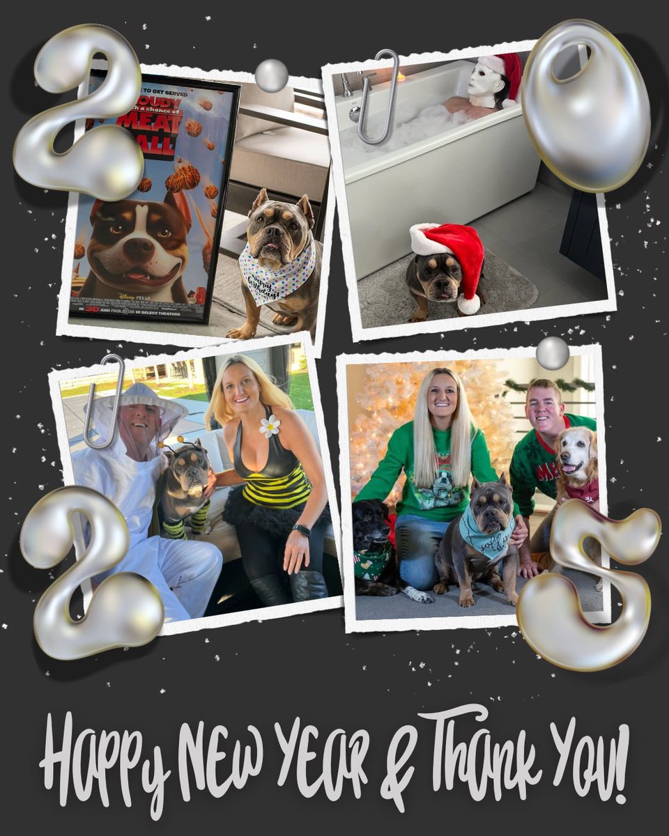 Cogs Dogs tweet media