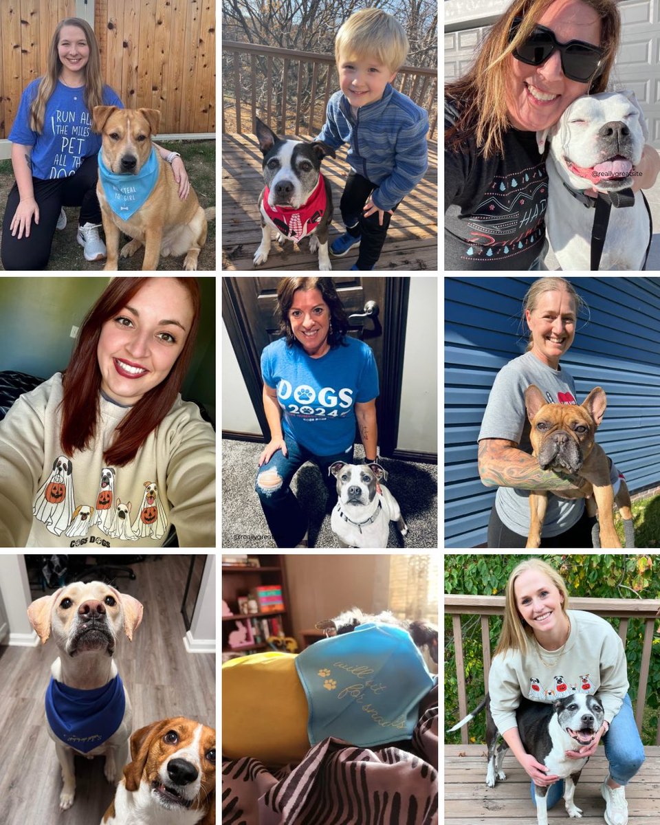 Cogs Dogs tweet media