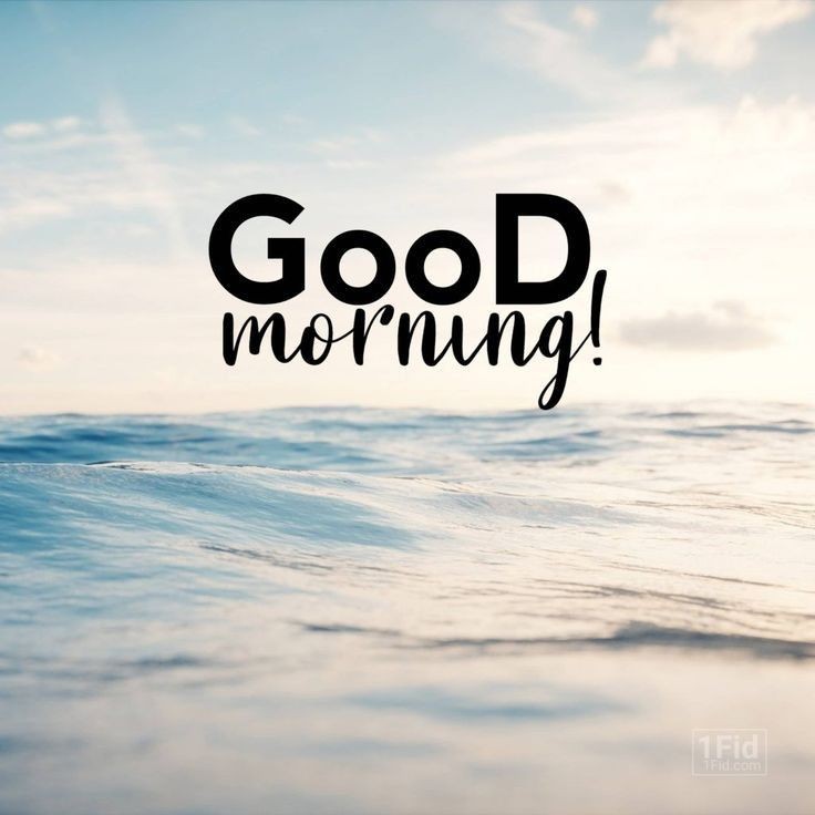 Every morning was a cheerful invitation to make my life of equal simplicity, and I may say innocence, with Nature herself.

G o o D  Morning 🌄🌅

May your Morning should be joyful and blessed 🤗❤️

Stay positive and healthy 🤗❤️

Stay Connected 🔙💯❣️🤞

RT 🔁 Mutual 💯❣️🤞