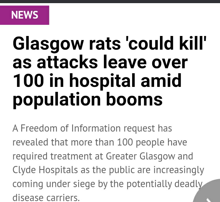 የስኮትላንዷ ግላስጎው ነዋሪዎች በአይጦች በሚደርስባቸው ጥቃት መቸገራው ተነገረ

100 የሚጠጉ ሰዎች በእጅና እግራቸው ላይ በአይጦች በደረሰባቸው ንክሻ በሆስፒታል ህክምና እየተከታተሉ ነው ተብሏል