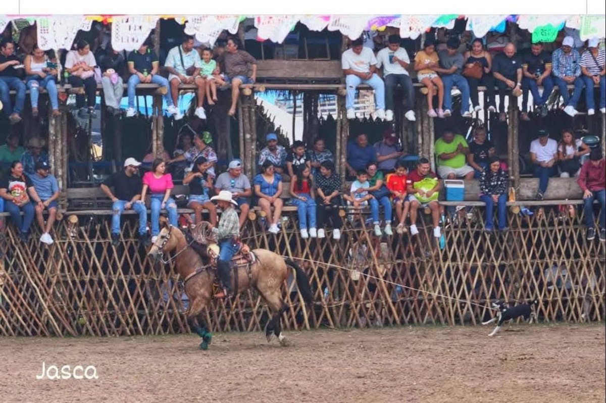 Plu2Desampara2's tweet image. .@AztecaYucatan @GobYucatan @YUCATANALMINUTO 
INDIGNANTE😡 amarran perro frente a toda la gente en la feria de #Tizimin ( imagen fuerte)