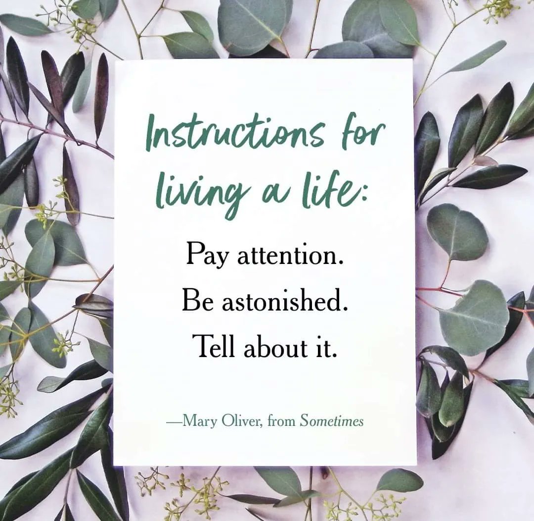 Sharing this beautiful advice from poet #MaryOliver, so relevant for the New Year. It went straight to my heart.