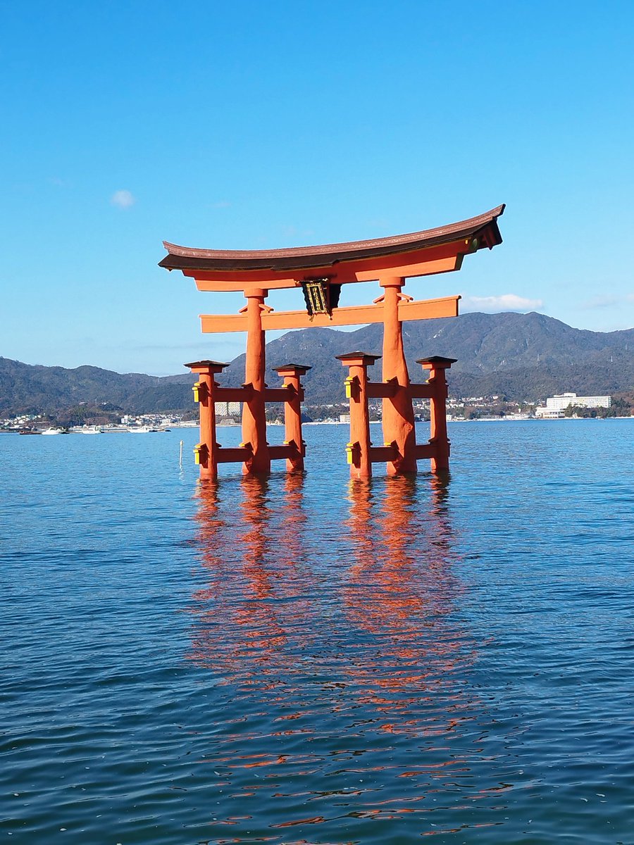 Atsuko-ele910n／Rio tweet media