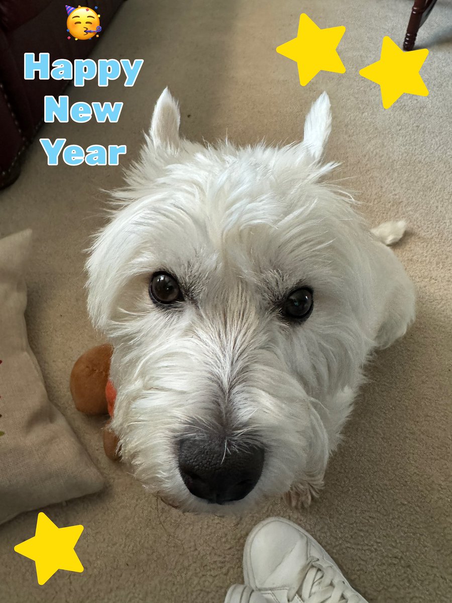 🎇Happy New Year Pals🎆 Let’s make it a Great Year 😊