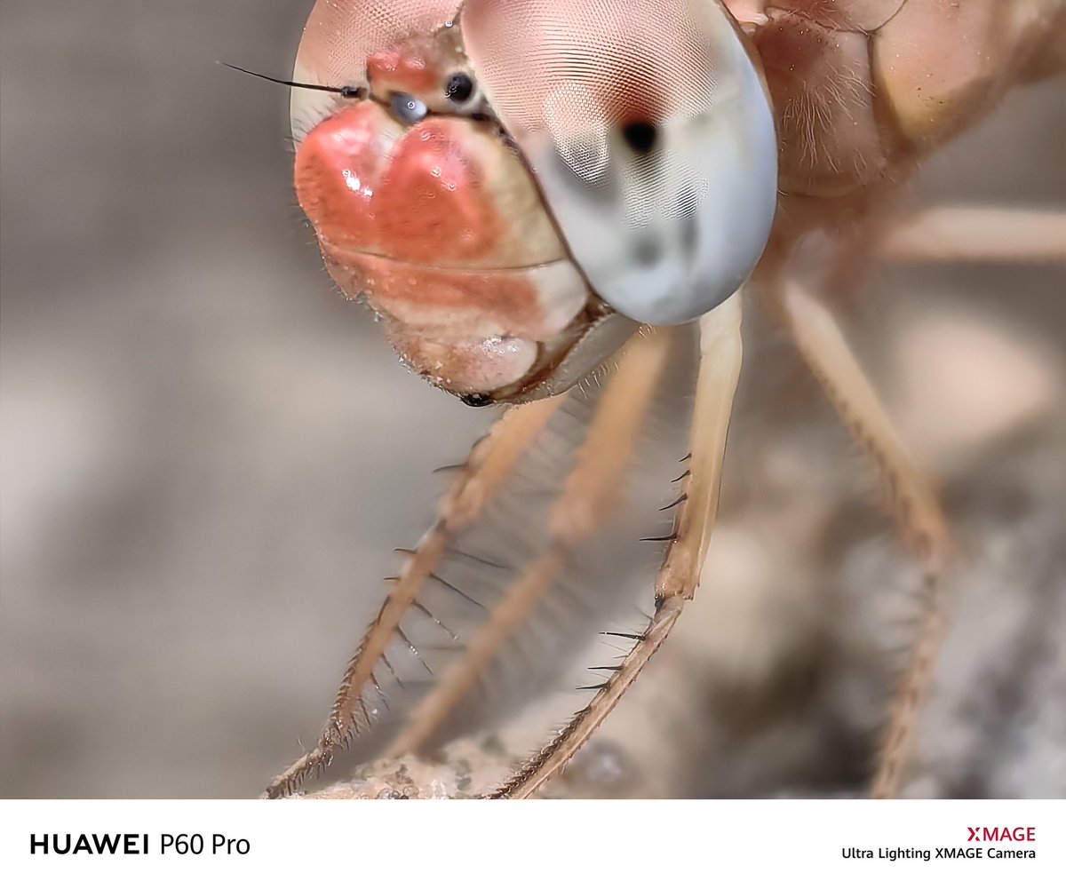 I3d3m's tweet image. #P60pro
Archive photos
I hope you are well and in peace wherever you are
Greetings to all 🌹💌👍