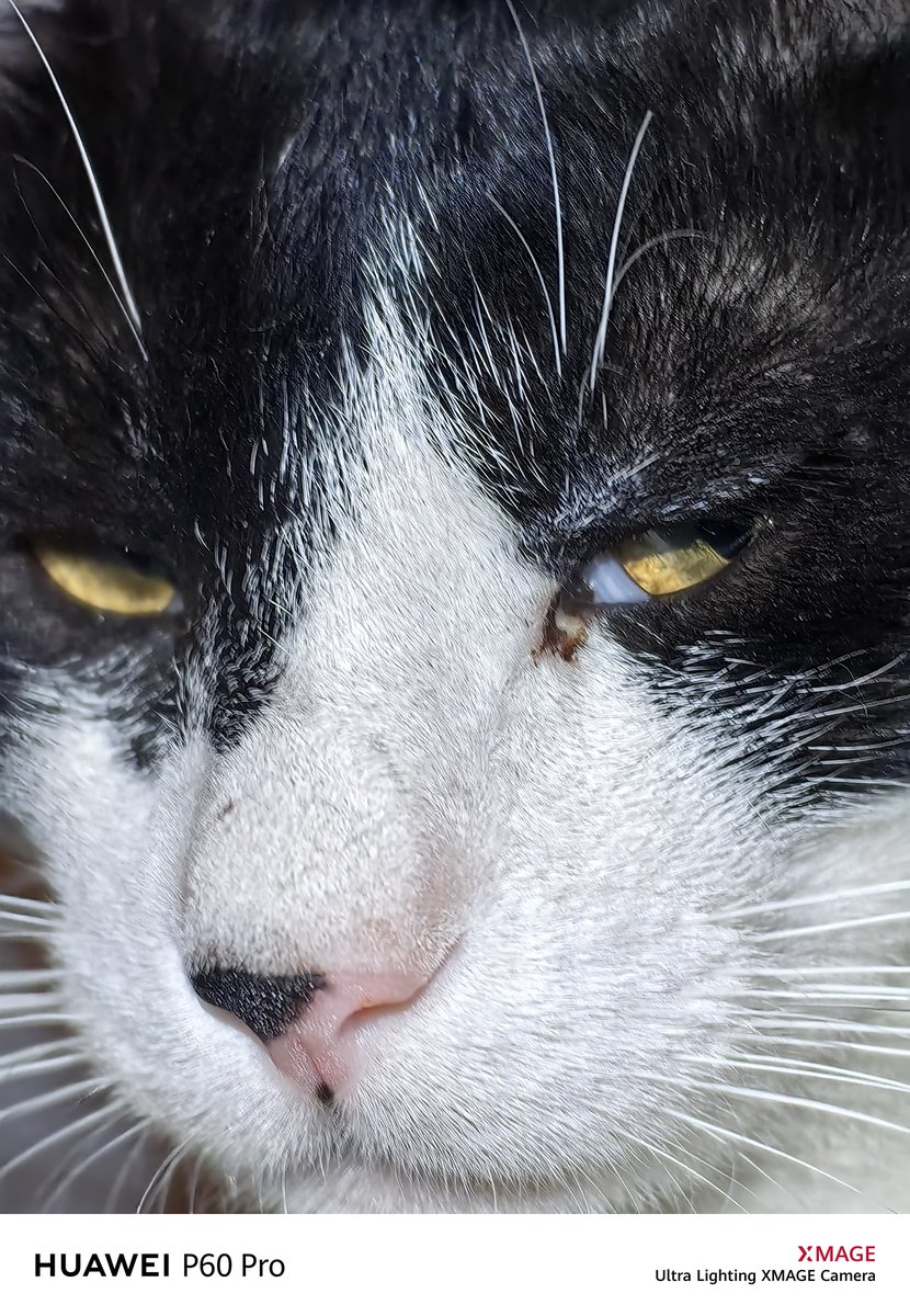 I3d3m's tweet image. #P60pro
Archive photos
I hope you are well and in peace wherever you are
Greetings to all 🌹💌👍