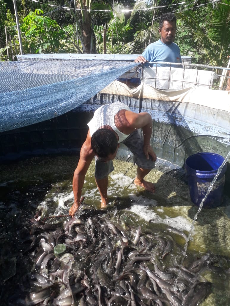 NF_Rosadi's tweet photo. Jum'at, 06/12/24
Nirvani FR, Luhkan Karanganyar
Melaporkan kegiatan panen ikan lele milik Pokdakan "Mugi Barokah" alamat Desa Pendem Kecamatan Mojogedang dengan jumlah 225kg harga 18.700/kg #GiatLuhkanSatminkalTegal #luhlapor
@pusluh_bppsdm
@PKBLU_bp3tegal https://t.co/9ECl54CQsl