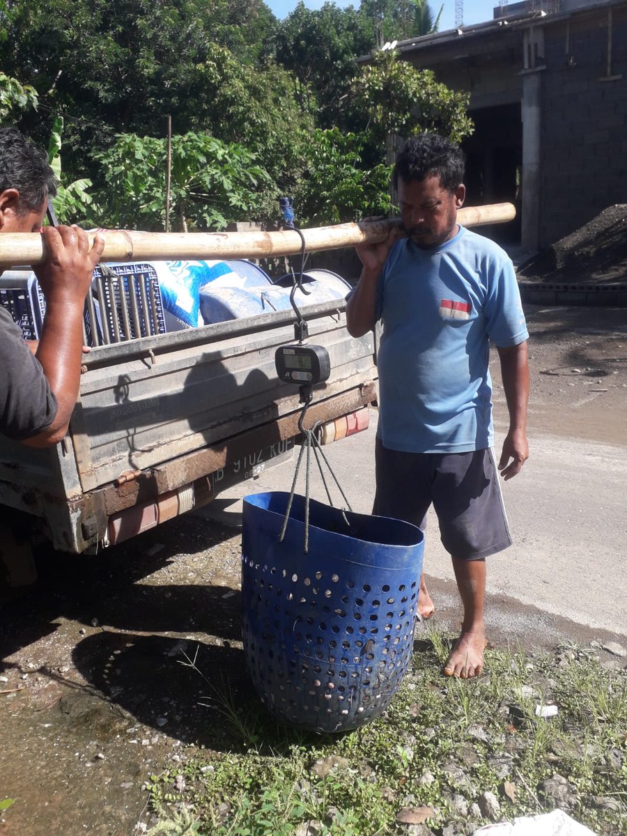 NF_Rosadi's tweet photo. Jum'at, 06/12/24
Nirvani FR, Luhkan Karanganyar
Melaporkan kegiatan panen ikan lele milik Pokdakan "Mugi Barokah" alamat Desa Pendem Kecamatan Mojogedang dengan jumlah 225kg harga 18.700/kg #GiatLuhkanSatminkalTegal #luhlapor
@pusluh_bppsdm
@PKBLU_bp3tegal https://t.co/9ECl54CQsl