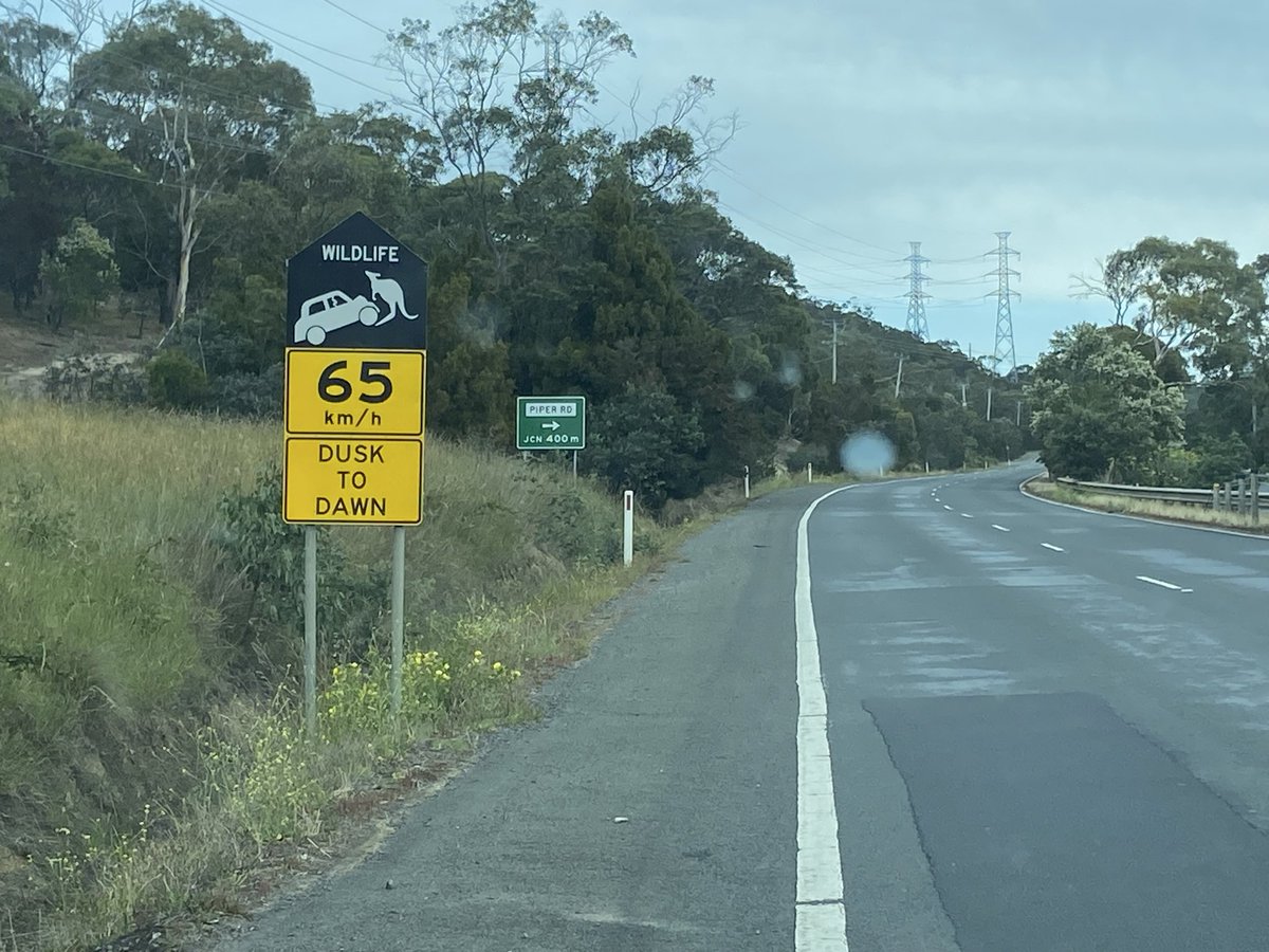 stoic008's tweet photo. Mechanic kangaroos, roadside assistance help here in Australia
#RoadTrip #RACT #RACV #AAA https://t.co/OaAgPgtqq7