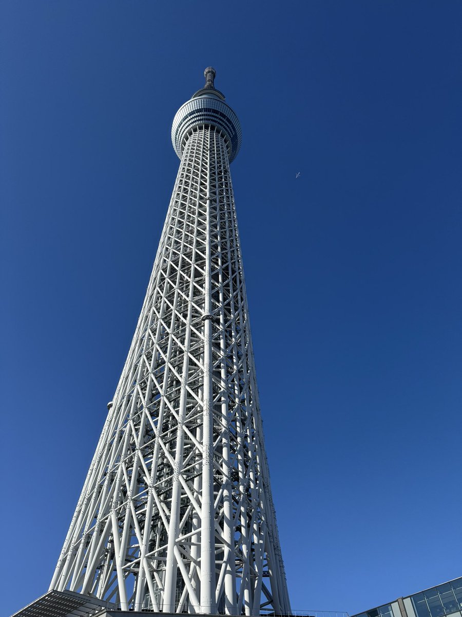 こんにちは。
生前はpajaと私がお世話になりました。
皆さまのコメントを励みに頑張れてます。
返信も遅くなりますがXもpaja家族も今年も何卒よろしくお願いします🙇

9回目の月命日を迎えました。
昨夜からpajaの実家に来ております。