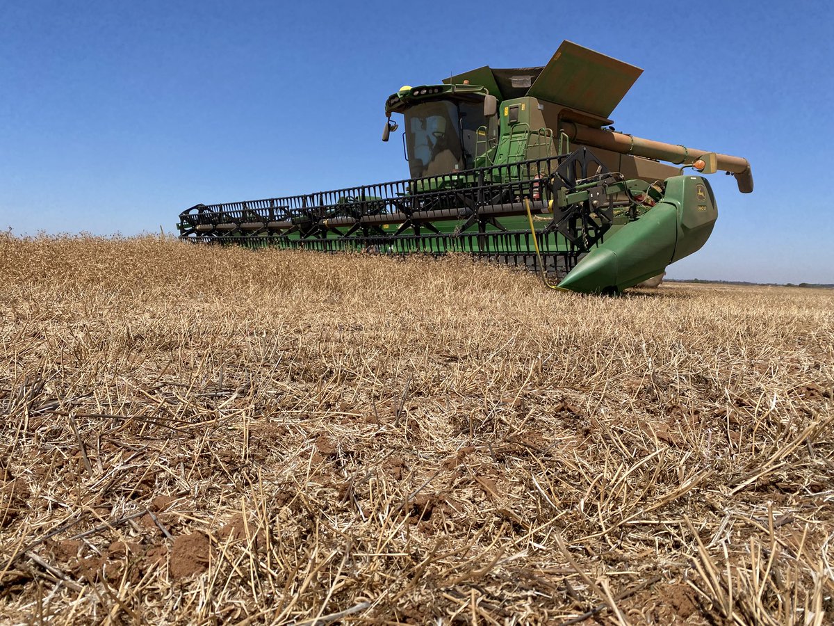 Carn2ac Trigonella balansae For Sale

New pasture legume suited to your medium to heavy country 
Soils with a PH of 5.0 to 9.0
Hard seeded
Deep rooted
Seed available 
Licensed to sell 
Pm for price and info